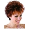 Wholesome Auburn Curly Cropped Classic Wigs