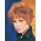Synthetic Cropped Straight Auburn Modern Classic Wigs