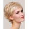 Online Monofilament Synthetic Straight 6" Short Wigs