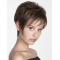 Brown Ideal Boycuts Straight Short Wigs