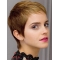 Synthetic Cropped Lace Front 6" Emma Watson Wigs