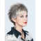 Top Lace Front Cropped Synthetic Grey Wigs