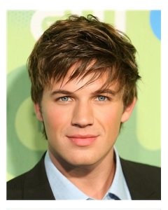 Fabulous Brown Straight Cropped Men Wigs Fabulous Brown Straight Cropped Men Wigs