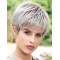 Straight Synthetic Cool Short Wigs