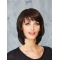 Chin Length Straight Black Monofilament Bobs Sleek Synthetic Wigs