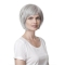 Fashionable Straight Chin Length Synthetic Grey Wigs