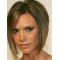 Bobs Straight Chin Length Ombre/2 Tone Lace Front Wigs