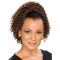 Exquisite Brown Curly Synthetic Women Clip in Hairpieces