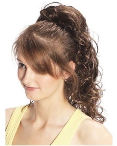 Great Brown Curly Long Clip in Hairpieces Great Brown Curly Long Clip in Hairpieces