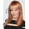 16" Straight Capless Long Synthetic Women Kathy Griffin Wigs