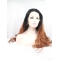  Curly Without Bangs Synthetic Long Ombre/2 Tone Lace Front Women Wigs