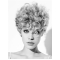 Cheap Young Fashion Grey Curly Short Capless Synthetic Women Wigs 
