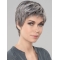 Straight Short 6" Monofilament Style Grey Wigs