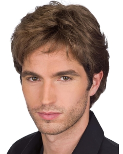 Ideal Straight Hand Tied Short Men Wigs Ideal Straight Hand Tied Short Men Wigs