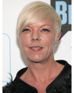 Short Straight Capless Remy Human Hair Grey Wigs hfnb112 Short Straight Capless Remy Human Hair Grey Wigs hfnb112