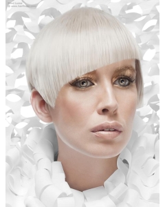 Young Fashion Platinum Blonde Sharp Scissors Short Straight Lace Front Wigs Young Fashion Platinum Blonde Sharp Scissors Short Straight Lace Front Wigs