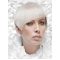Young Fashion Platinum Blonde Sharp Scissors Short Straight Lace Front Wigs