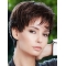 Brown Flexibility Boycuts Straight Short Capless Synthetic Women Wigs