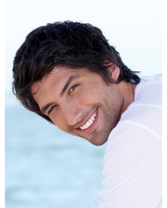 Refined Black Straight Short Hand-Tied Synthetic Men Wigs Refined Black Straight Short Hand-Tied Synthetic Men Wigs