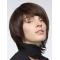 High Quality Fabulous Brown Shoulder Length Straight Layered Lace Front Synthetic Women Wigs