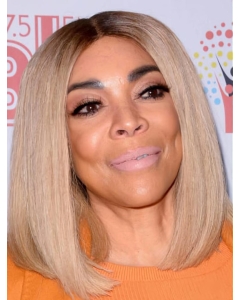 Lace Front Shoulder Length  Straight Grey Synthetic Bobs Wendy Williams Wigs Lace Front Shoulder Length  Straight Grey Synthetic Bobs Wendy Williams Wigs