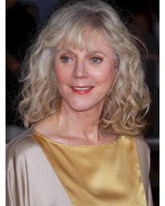 Shoulder Length Wavy Hand Tied Synthetic Grey Wigs for Lady  Shoulder Length Wavy Hand Tied Synthetic Grey Wigs for Lady